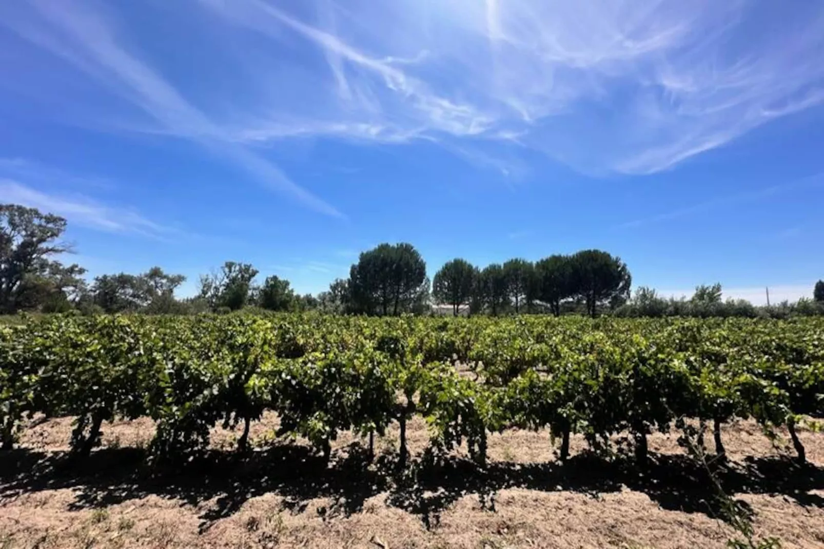 Résidence G&icirc;te Du Mas - Charmant G&icirc;te Proven&ccedil;al Avec Jardin Commun-Untagged