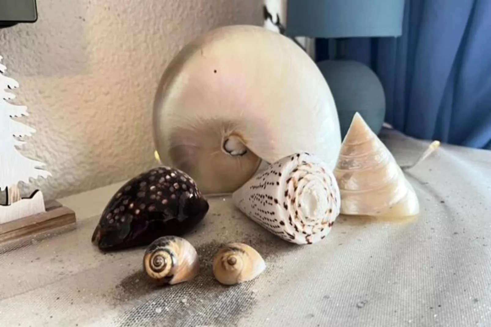 Résidence Los Amigos Ii-Untagged