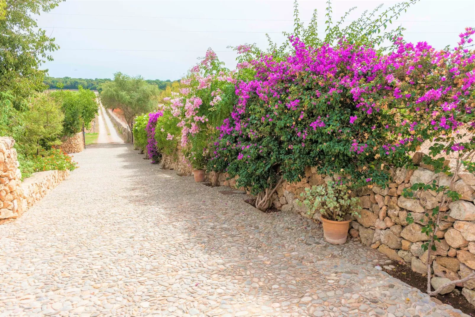Sa Mata Grossa-Exterior summer