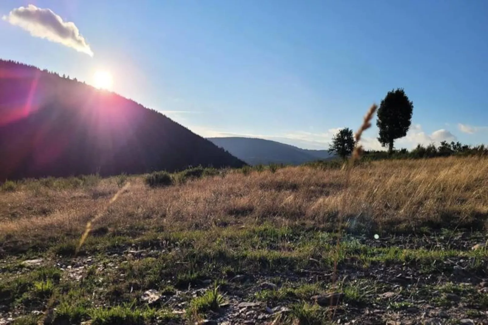 Gîte La cabane de romane-Non tagué