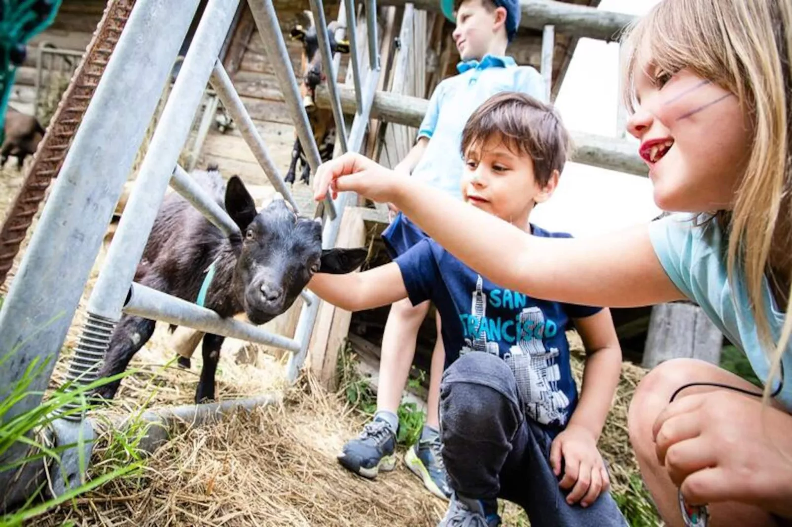 Résidence Club MMV La Clé des Cimes ****-Non tagué