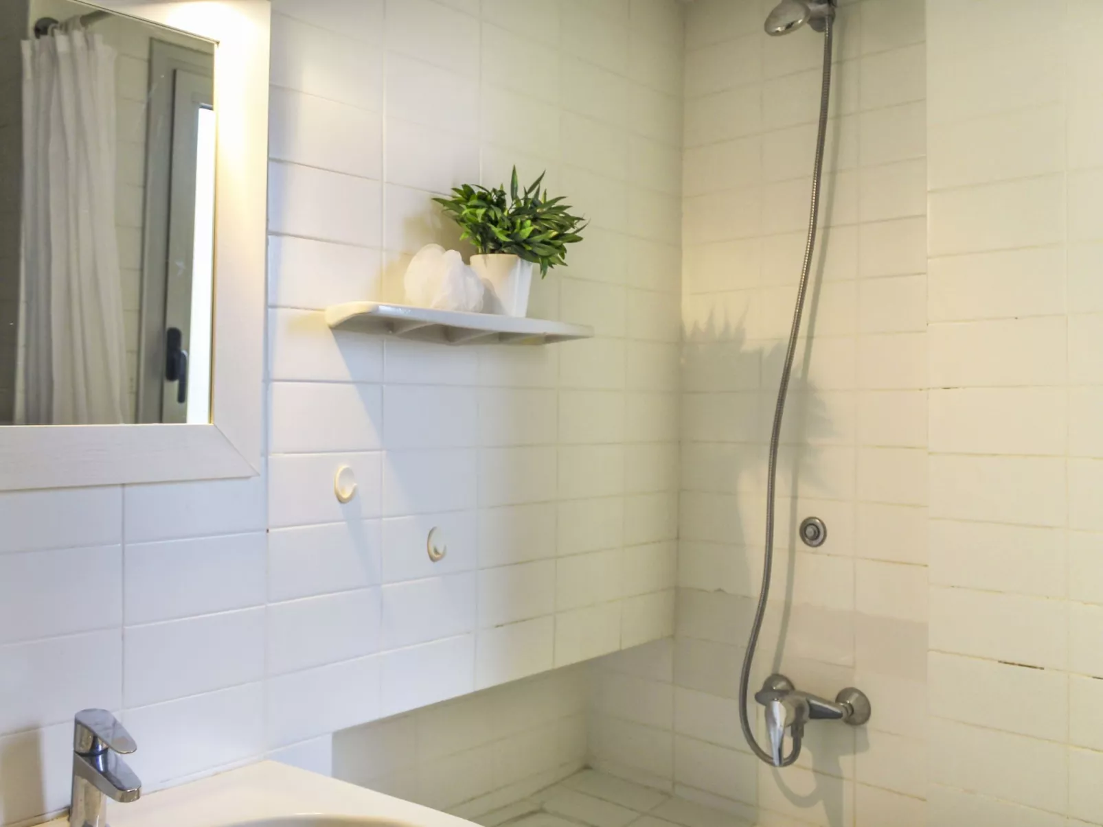 Los Laureles Blancos-Inside