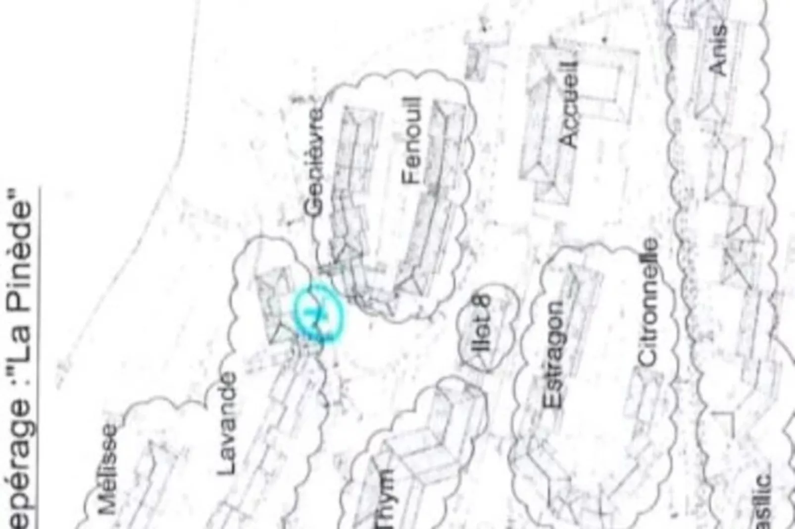 Résidence Mazet T2 - Domaine De La Pin&egrave;de - Piscine Chauff&eacute;e-Untagged