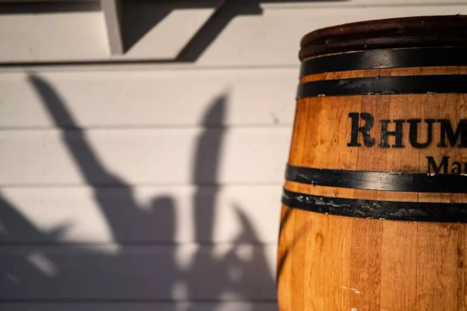 Villa Paruline - Non tagué