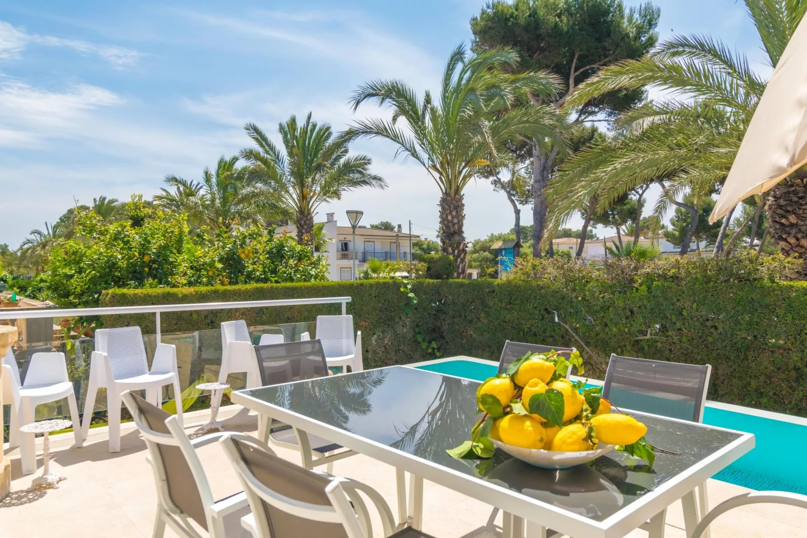 Anima-Exterior summer