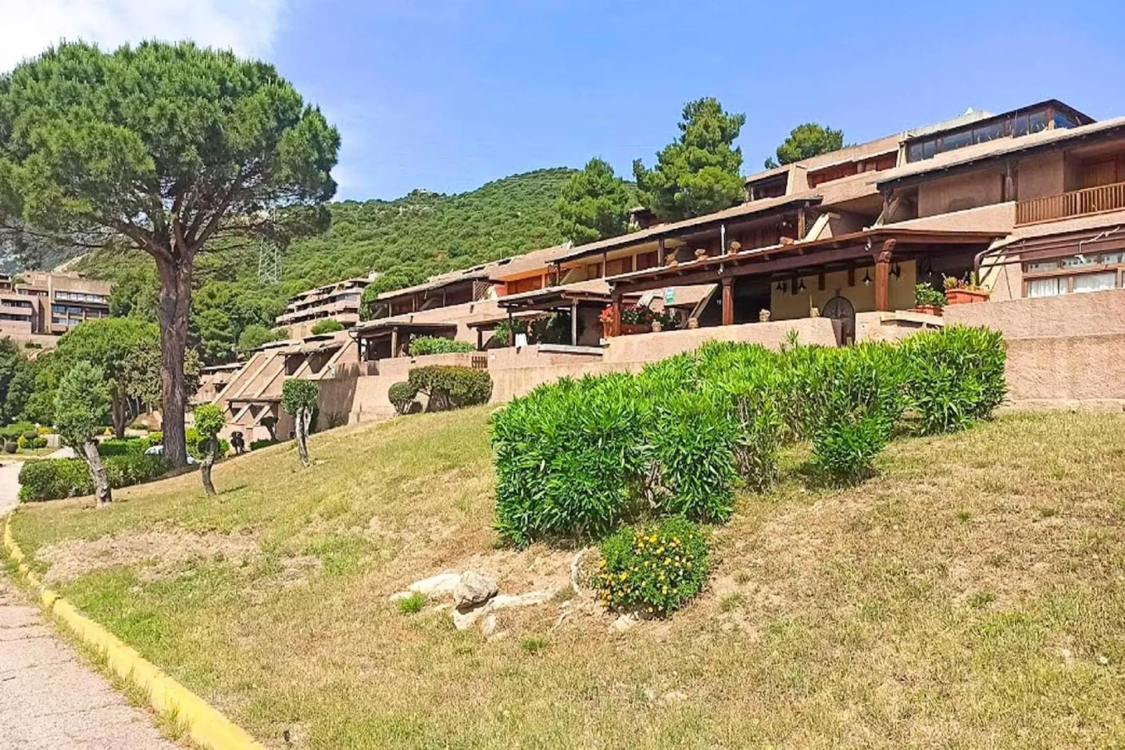 Trilo 6-Exterior in summer