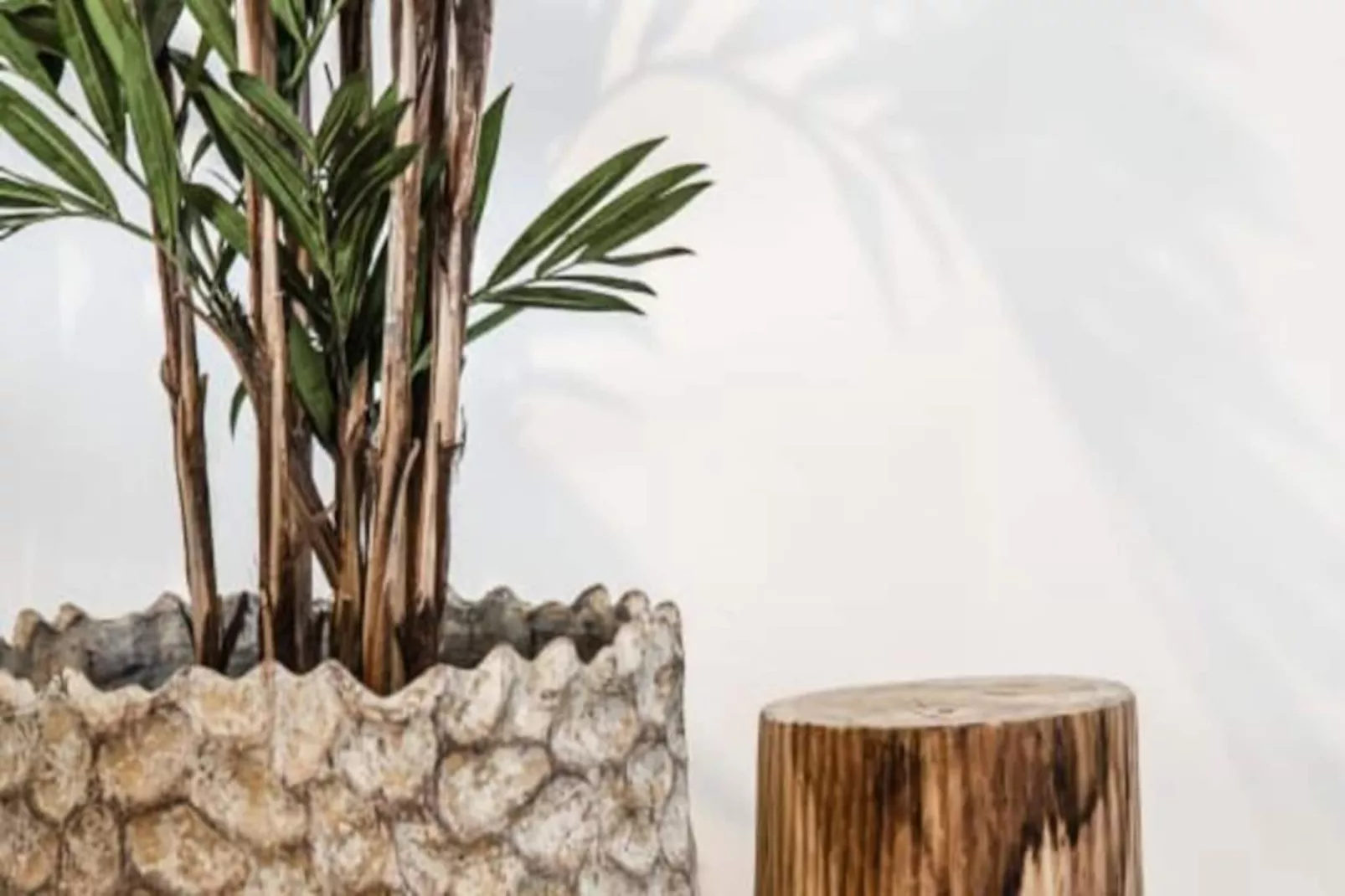 Yucca Beachhouse - Luxury Loft Apartment-Untagged