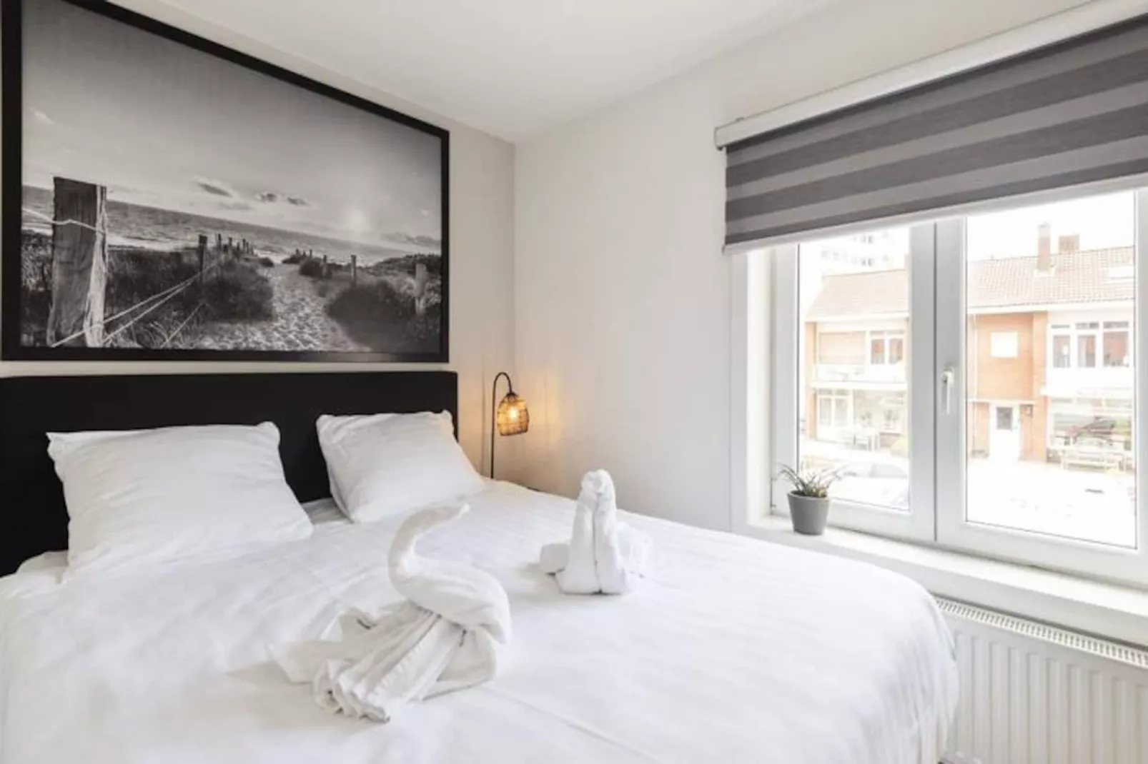 The Beach & Town Suite-Untagged