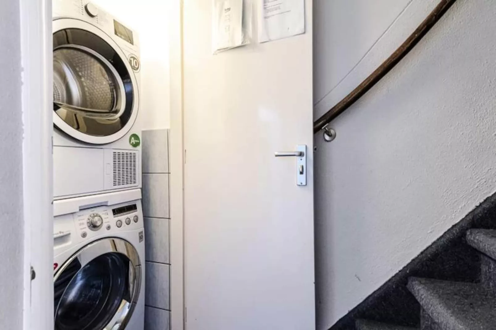 Albatros Aan Zee - Studio-Non tagué