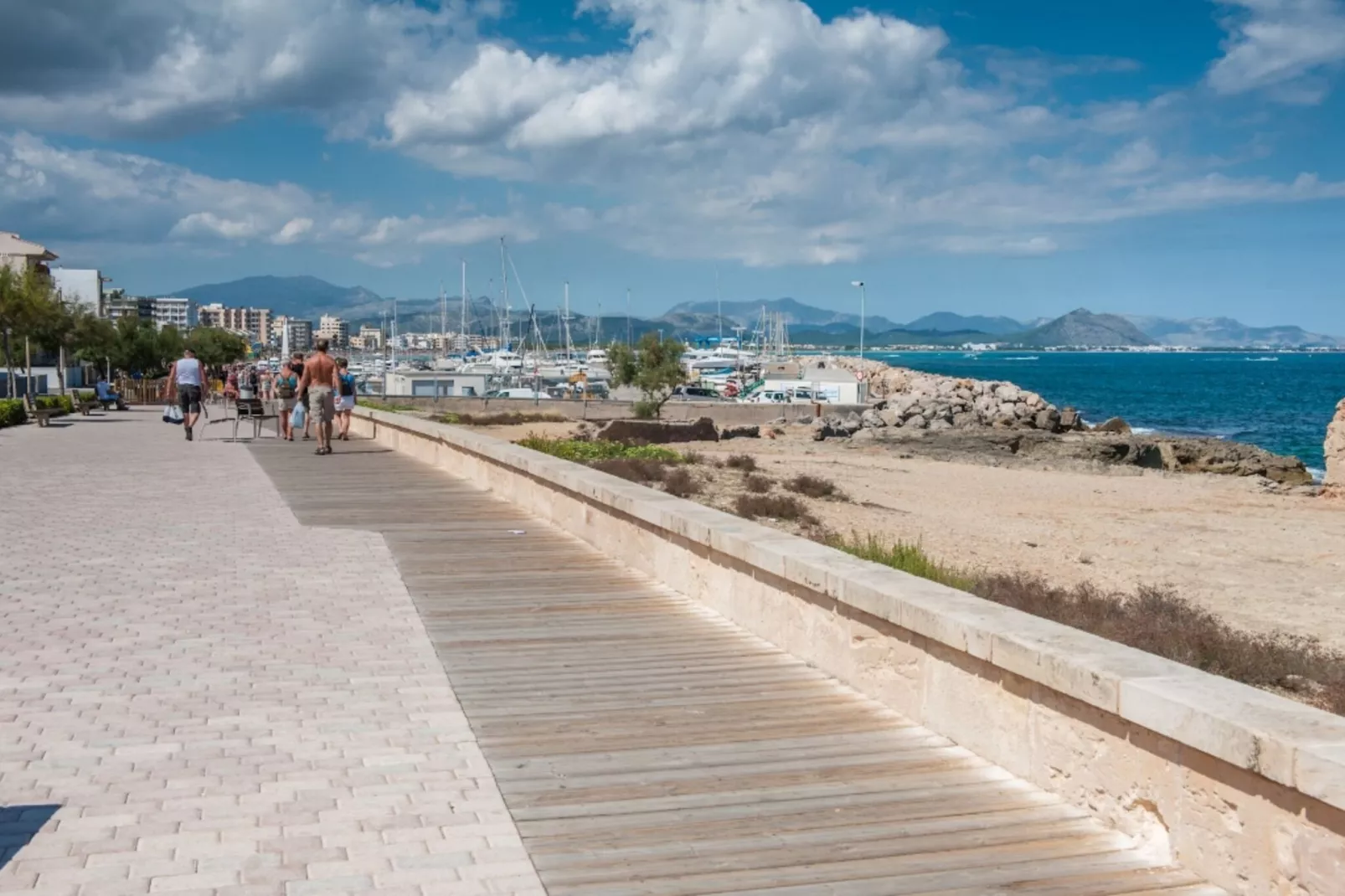 Anima-Areas summer 1km
