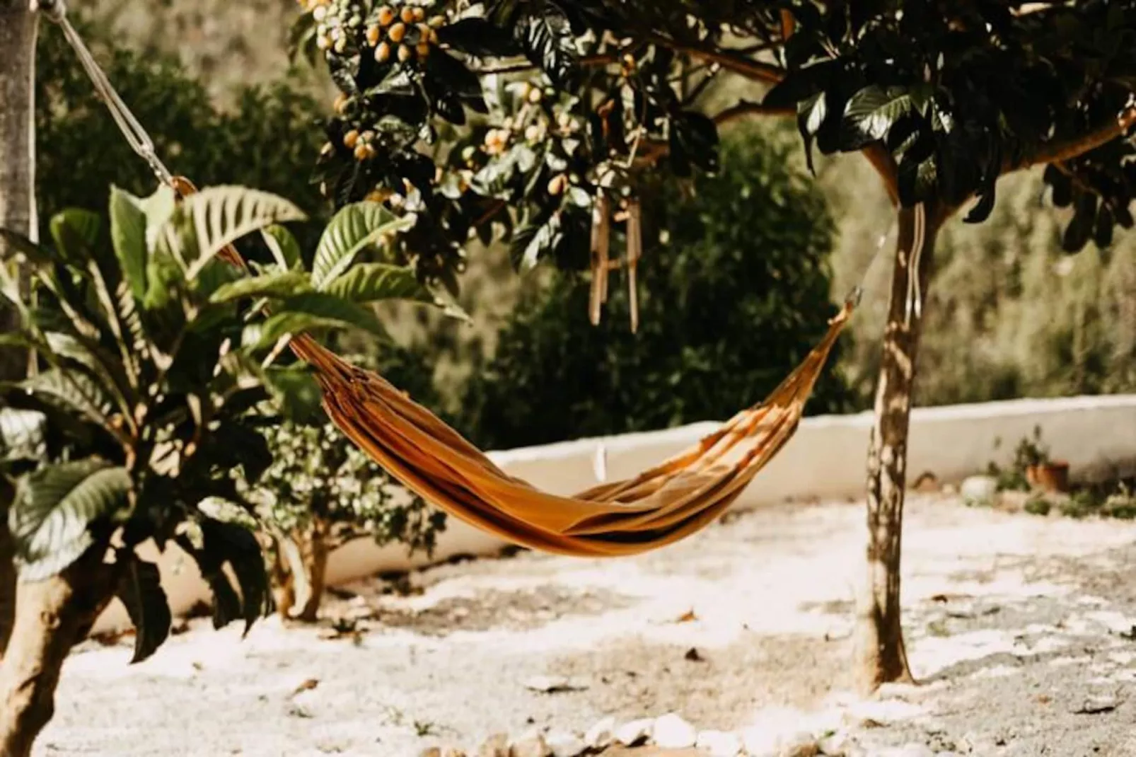 The Lemon Lodge - Tikka Suite-Nicht zugeordnet