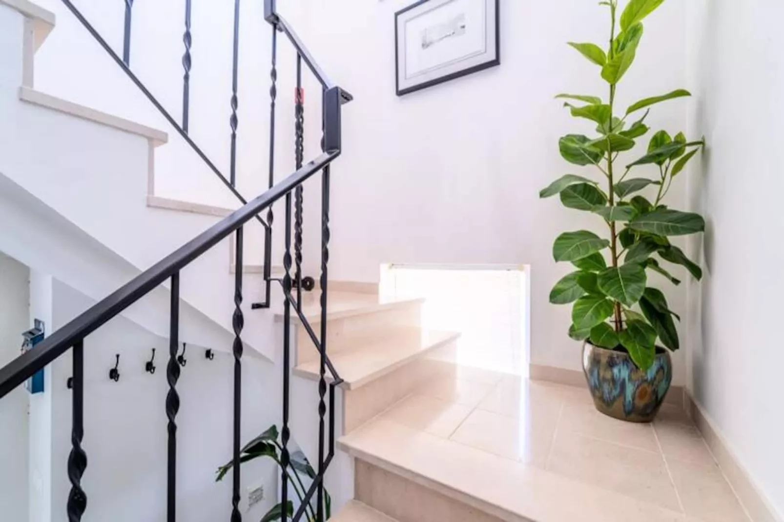 Casa Da Bauhinia-Untagged