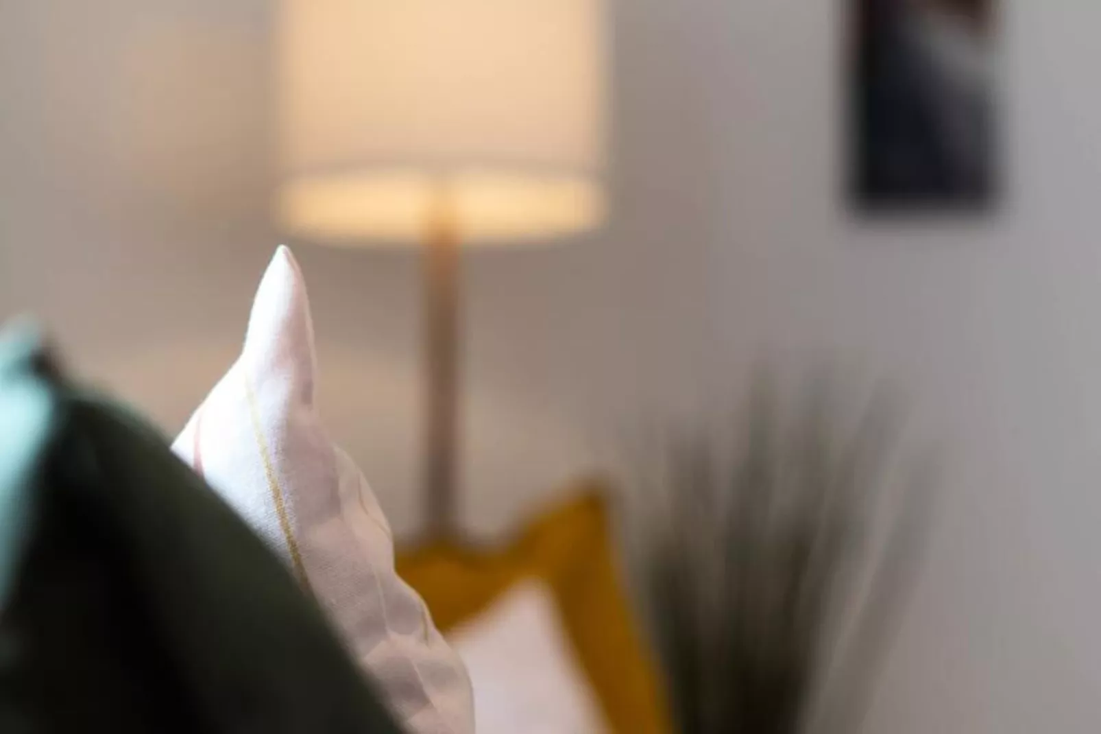 Casa Dos Sonhos-Non tagué