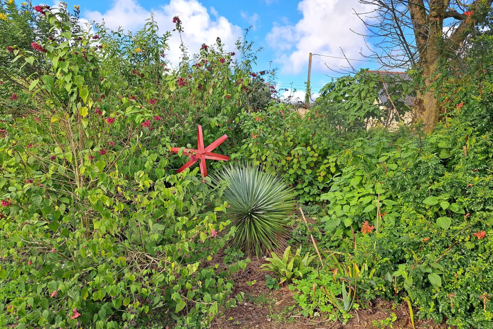 Granitsteinhaus in Guimaëc-Garden in winter