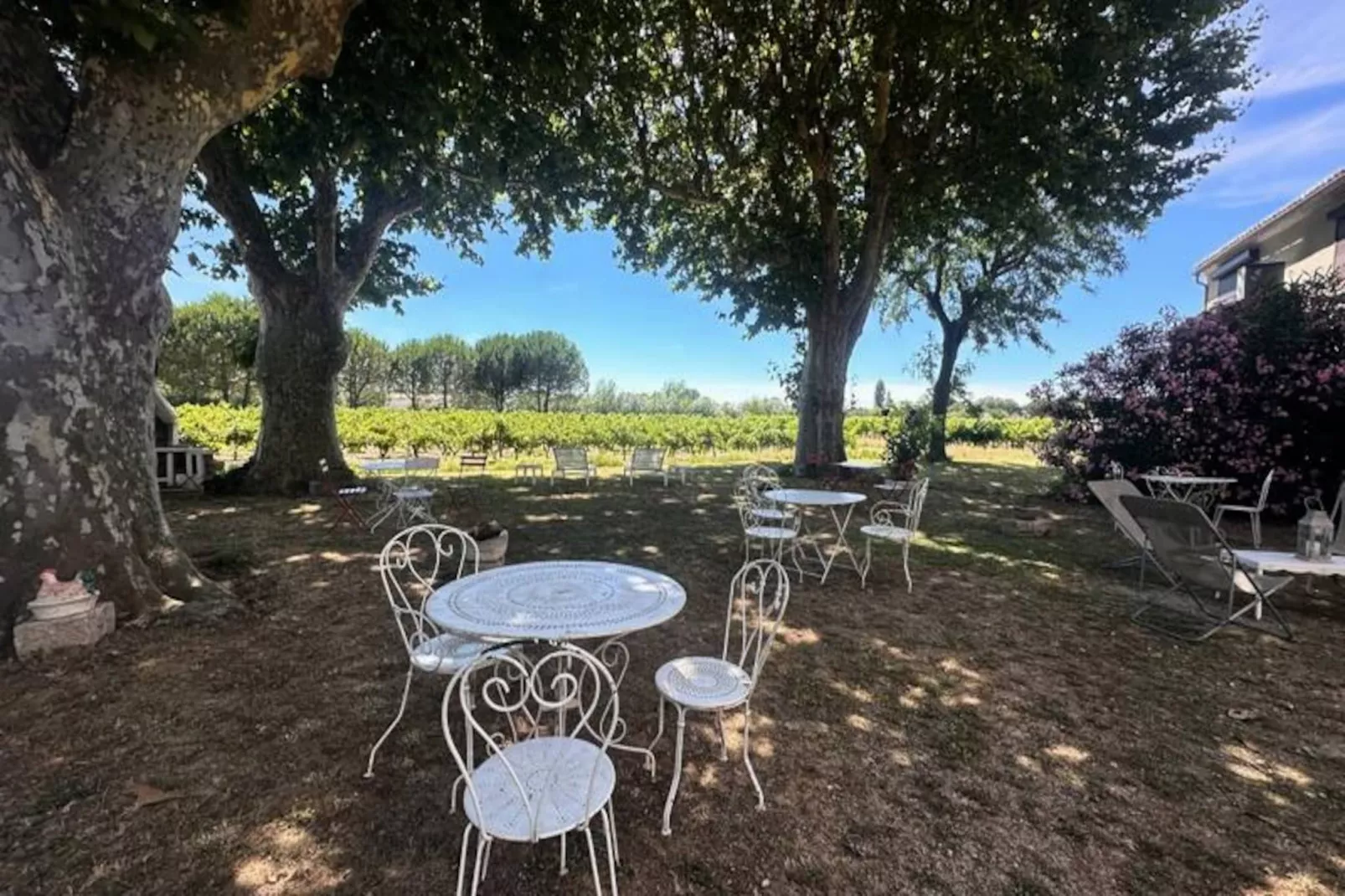 Résidence G&icirc;te Du Mas - Charmant G&icirc;te Proven&ccedil;al Avec Jardin Commun-Untagged