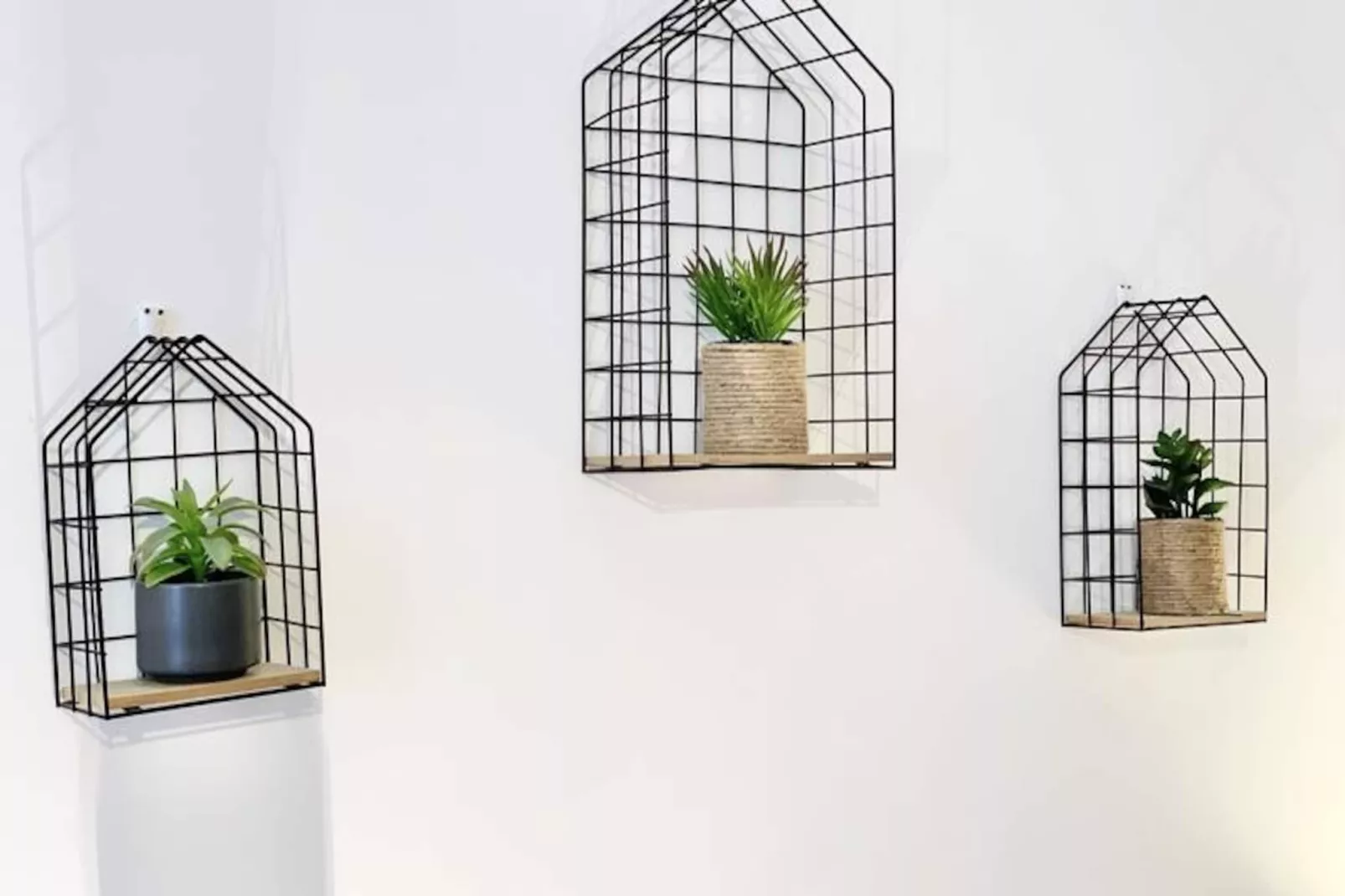 |the Sweet Jaur&egrave;s 🩵-Nicht zugeordnet