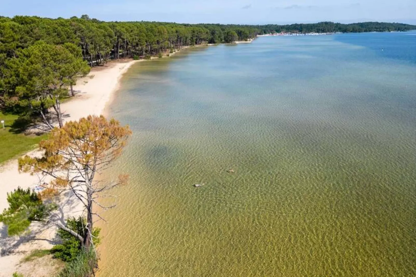 Résidence 60courbey-biscarrosse-Non tagué