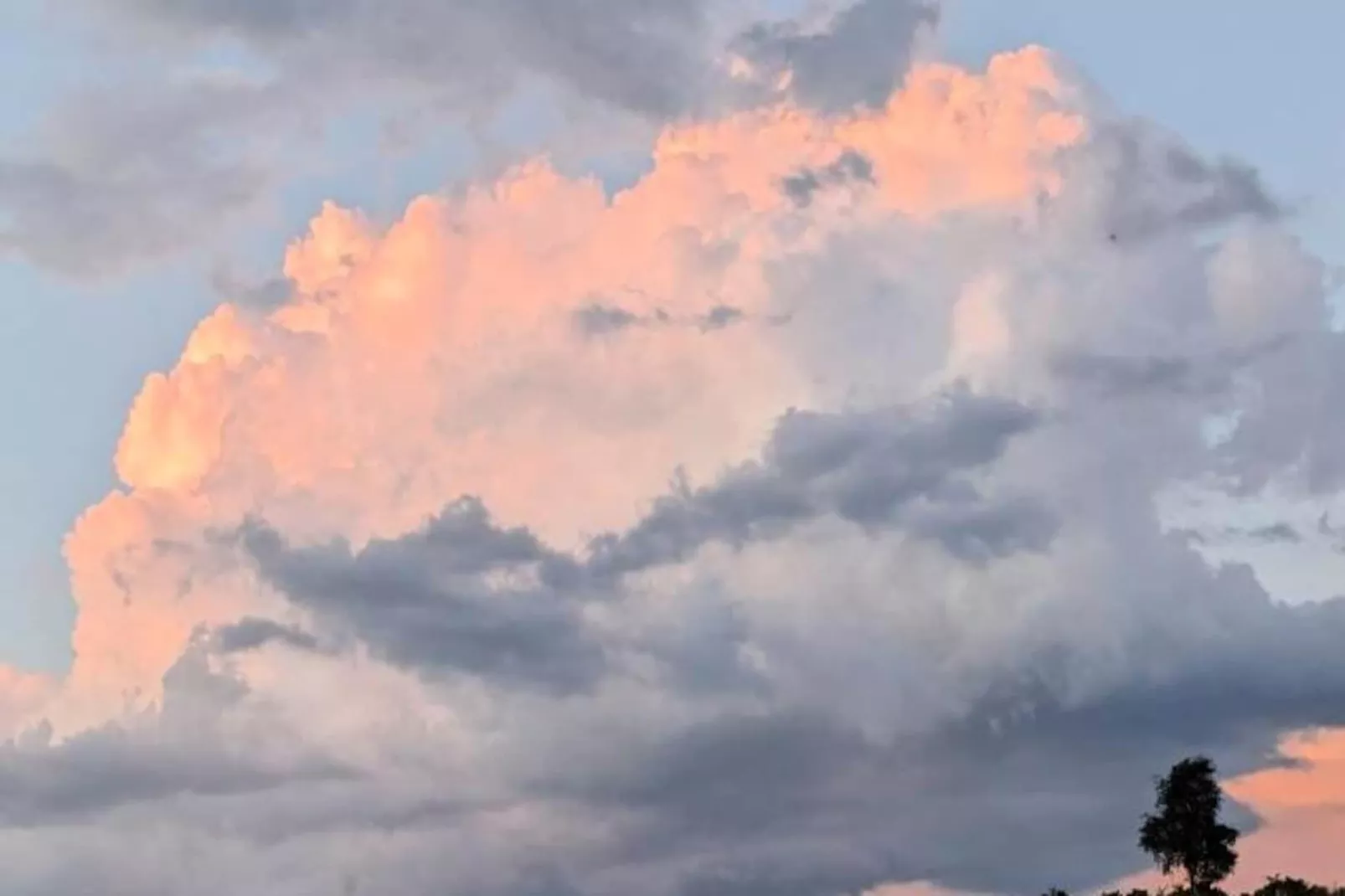 Gîte La cabane de romane-Non tagué