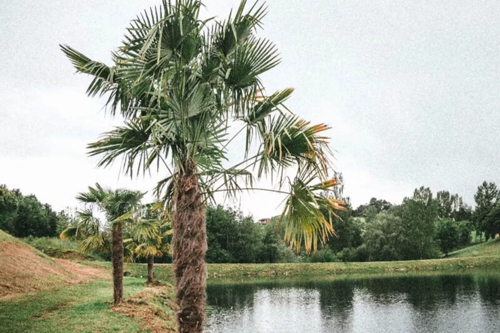 Terres de France -  Hameaux des Lacs-Non tagué