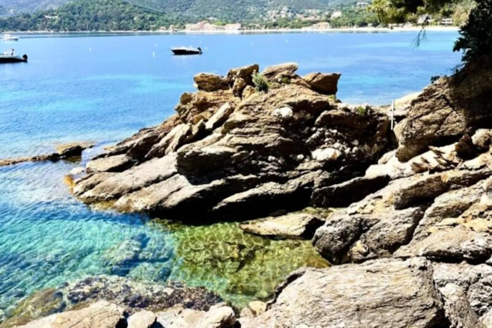 Résidence Appartement Avec Jardin - Cavali&egrave;re-Untagged