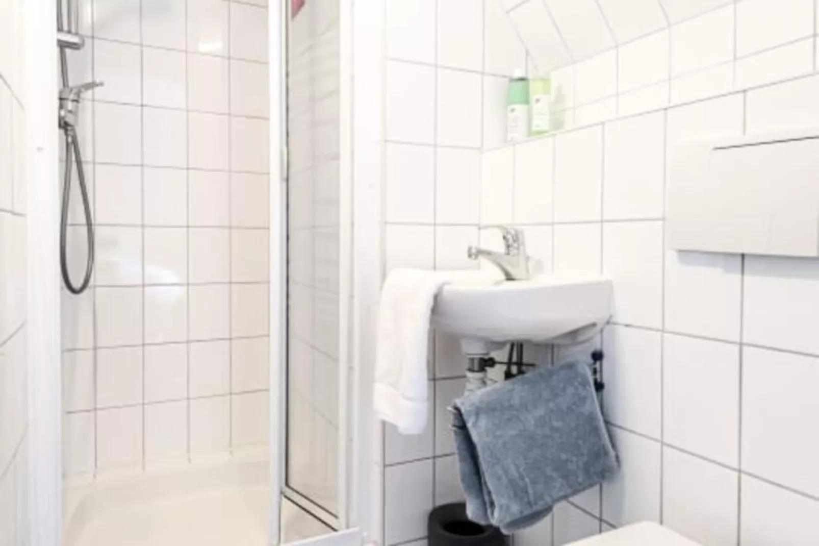 Albatros Aan Zee - Zandvoort-Non tagué