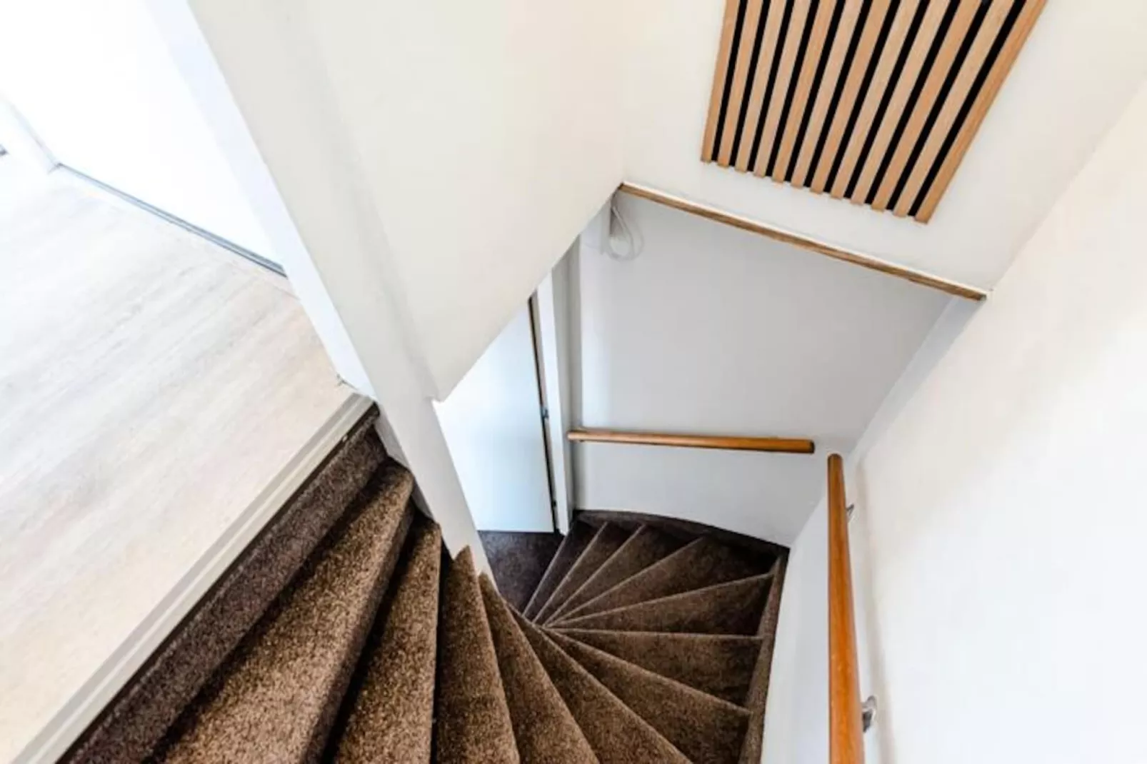 Albatros Aan Zee - Studio-Non tagué