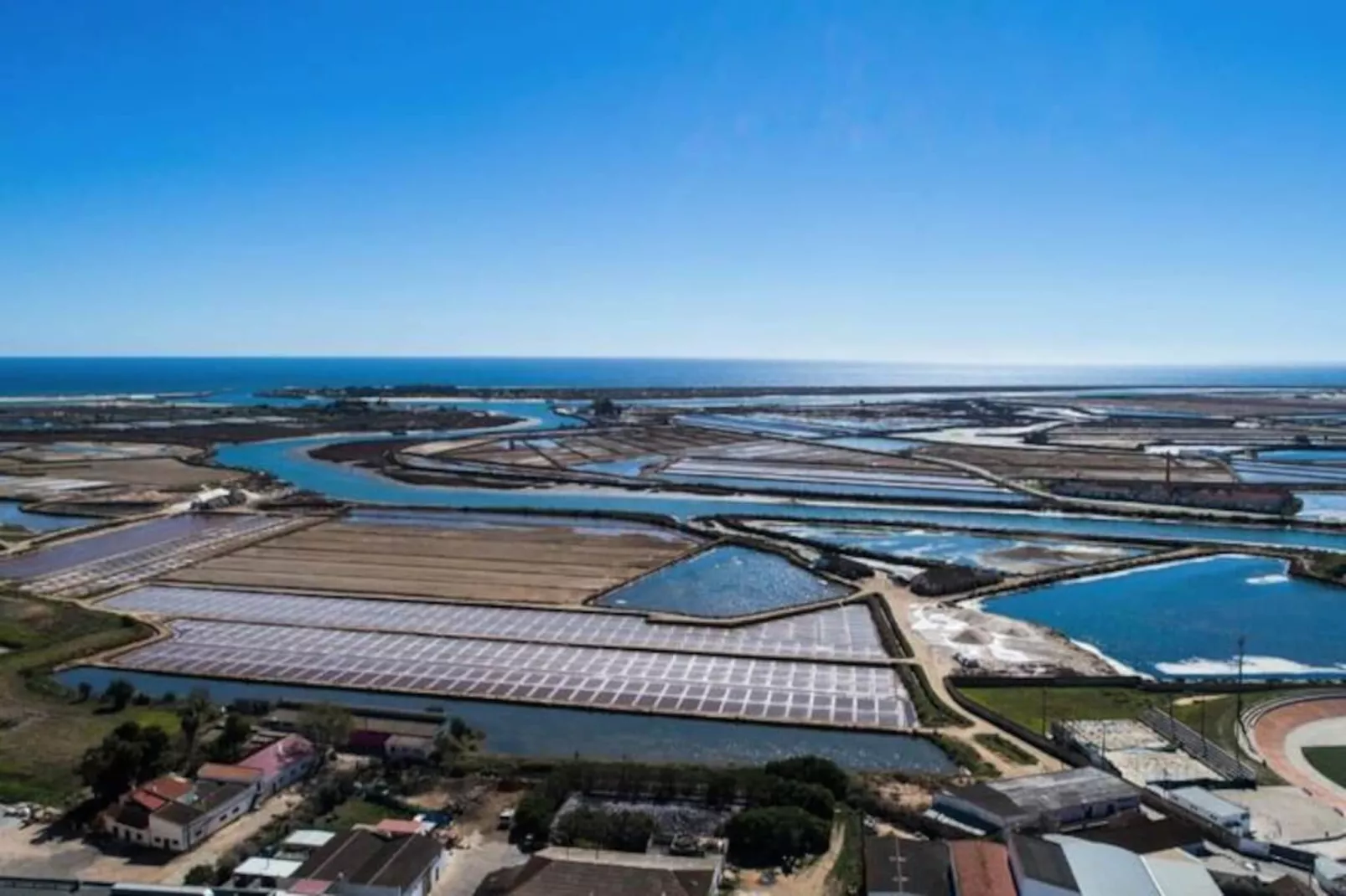 Tavira Flamingos Flat-Non tagué