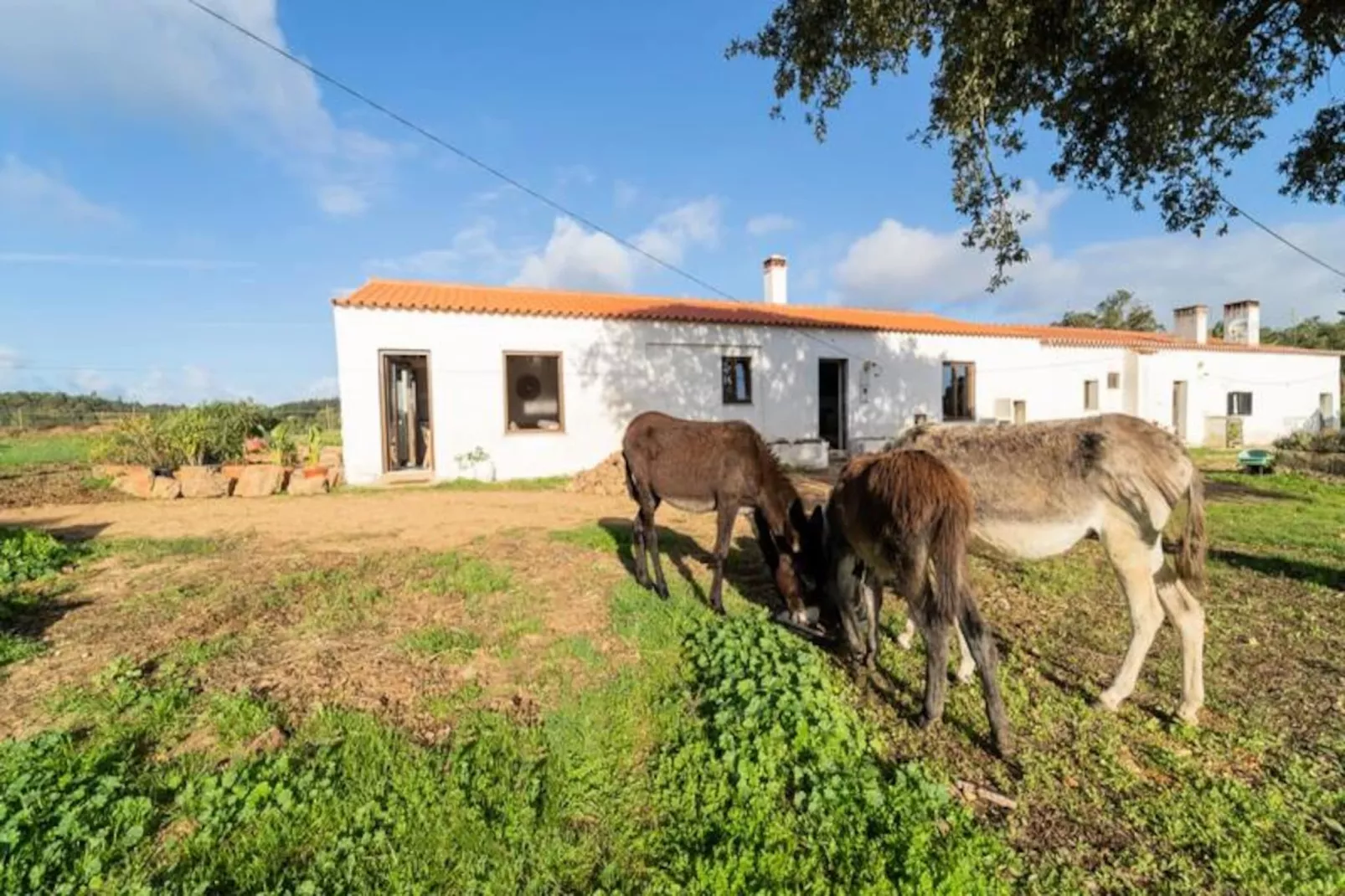 Casinha Da Paz-Untagged