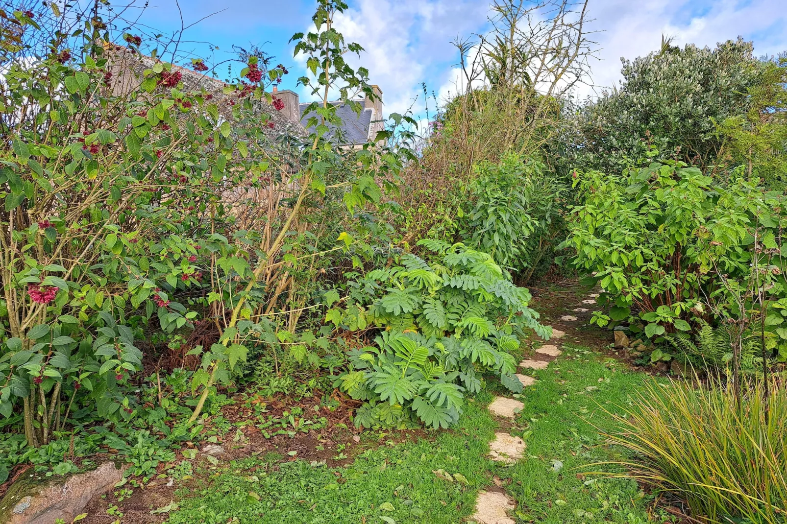 Granitsteinhaus in Guimaëc-Garden in winter
