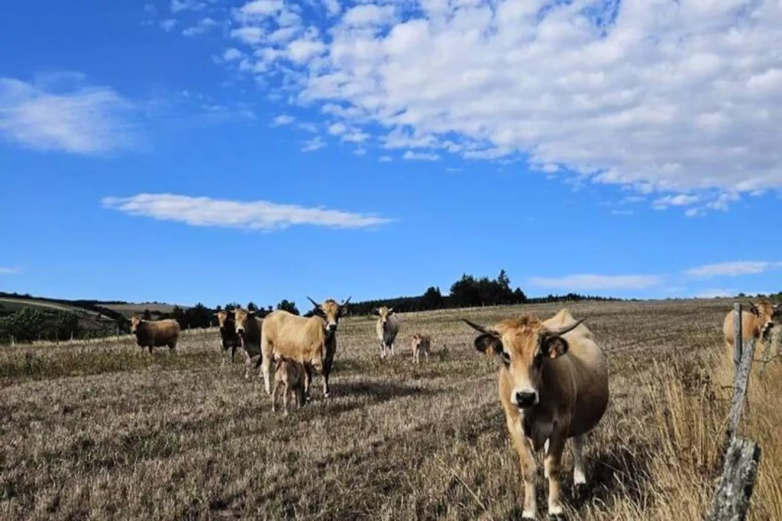 Gîte La cabane de romane-Non tagué