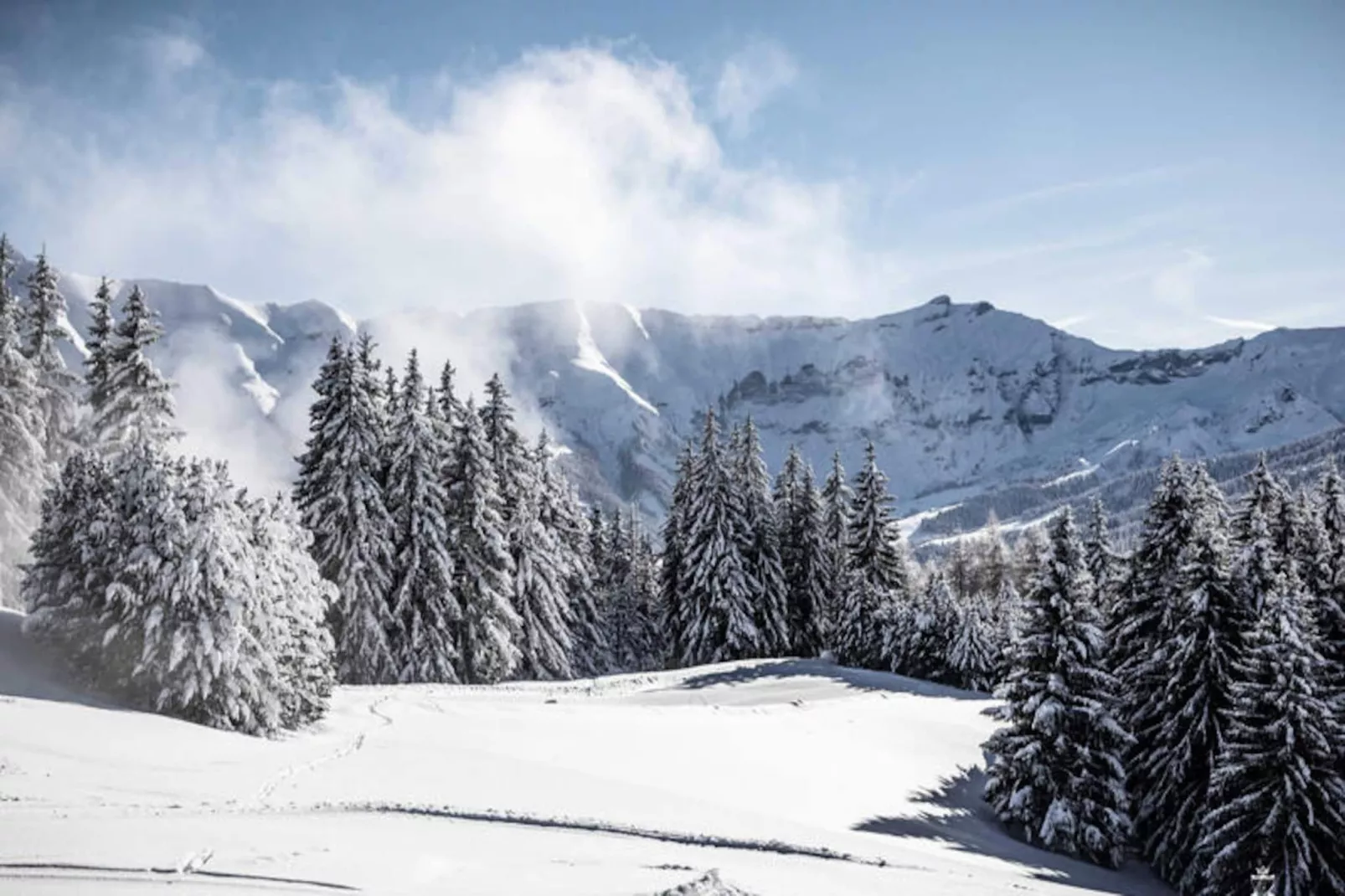 Résidence Mandarine Blanche-Untagged