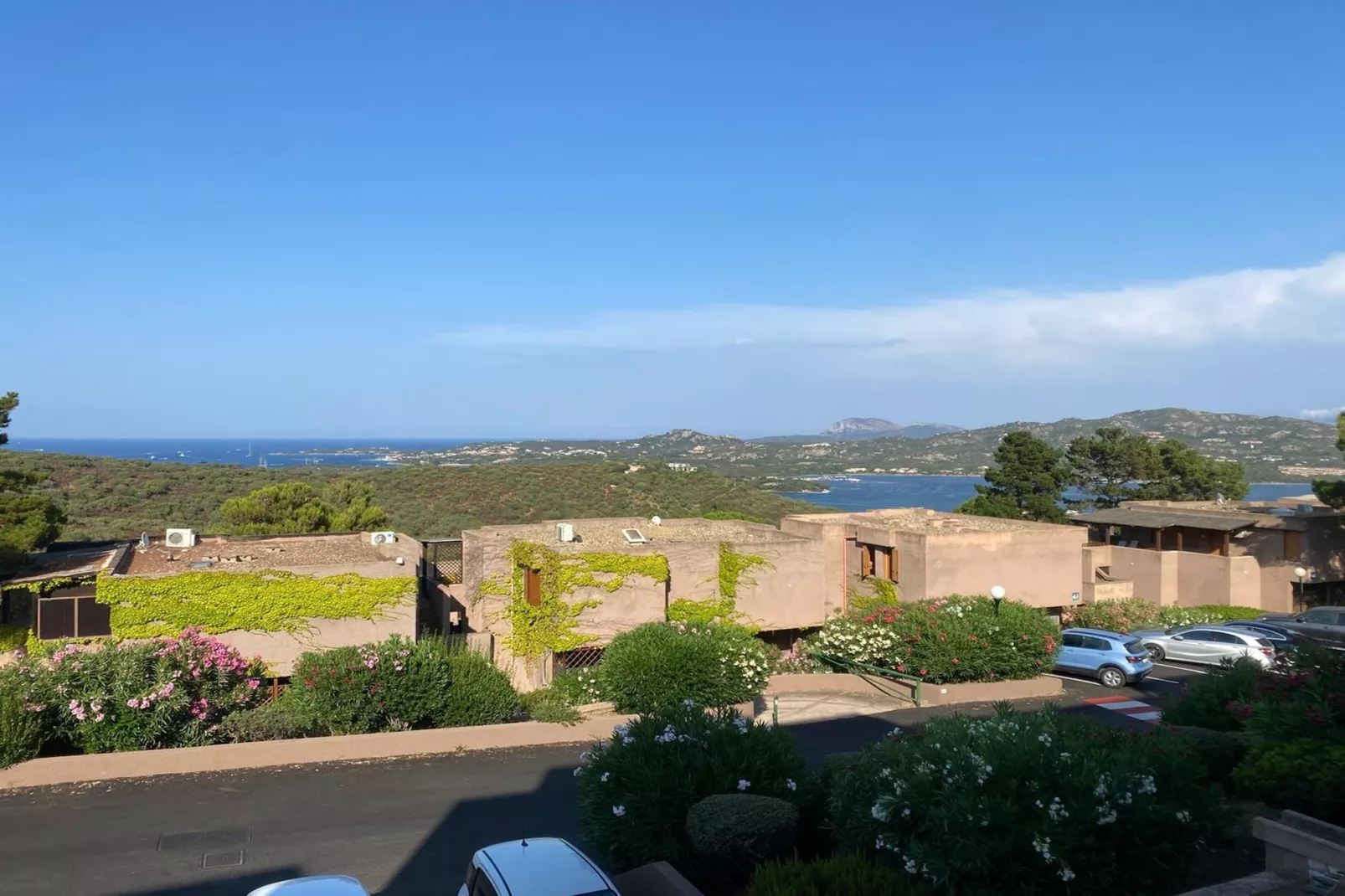 Bilo 4-View in summer