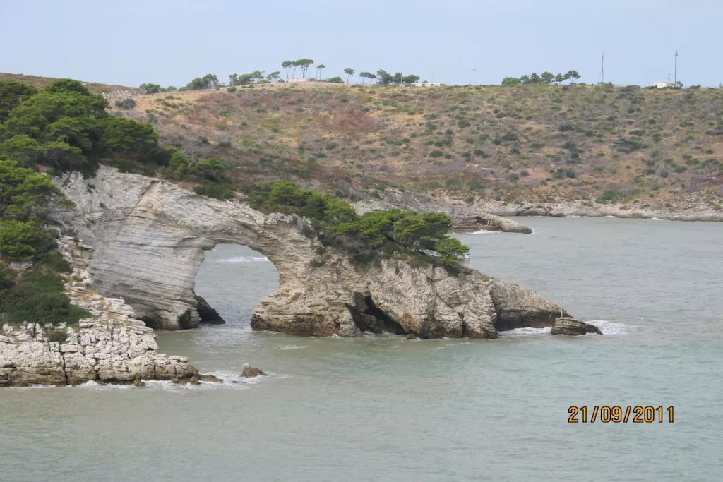 39195-Nicht zugeordnet