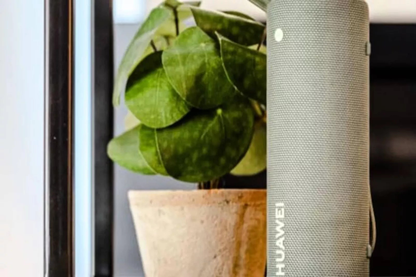 Oasis Zandvoort - Parking Gratuit-Non tagué