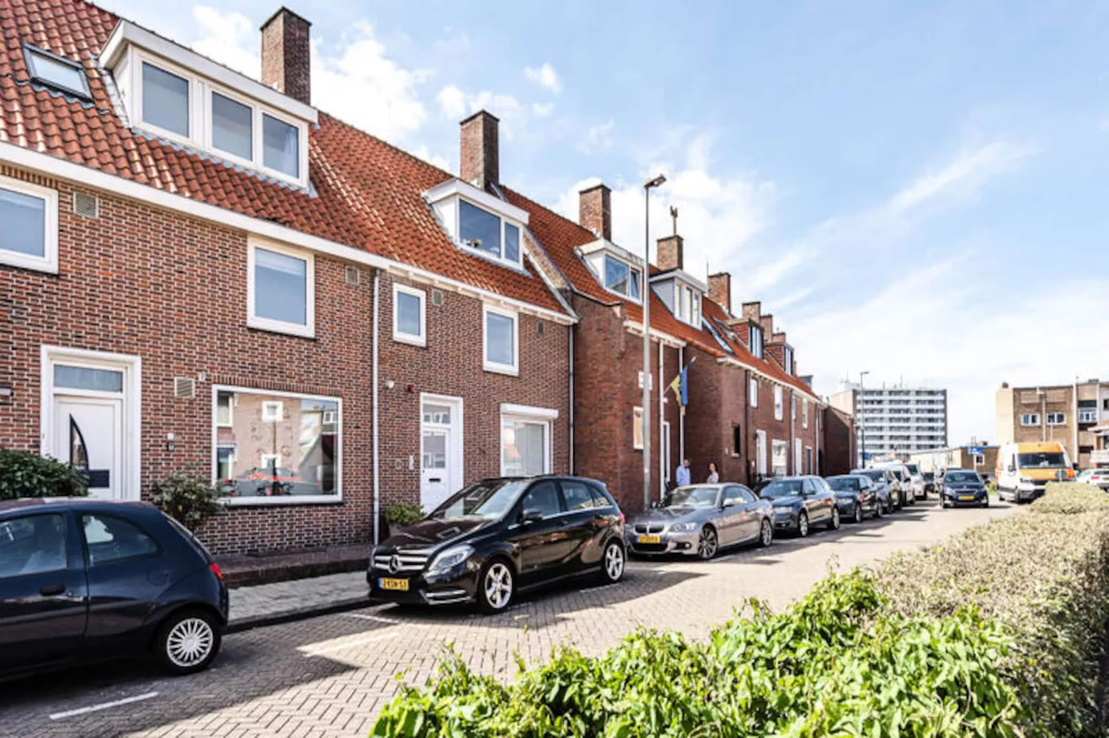 Albatros Aan Zee - Studio-Non tagué