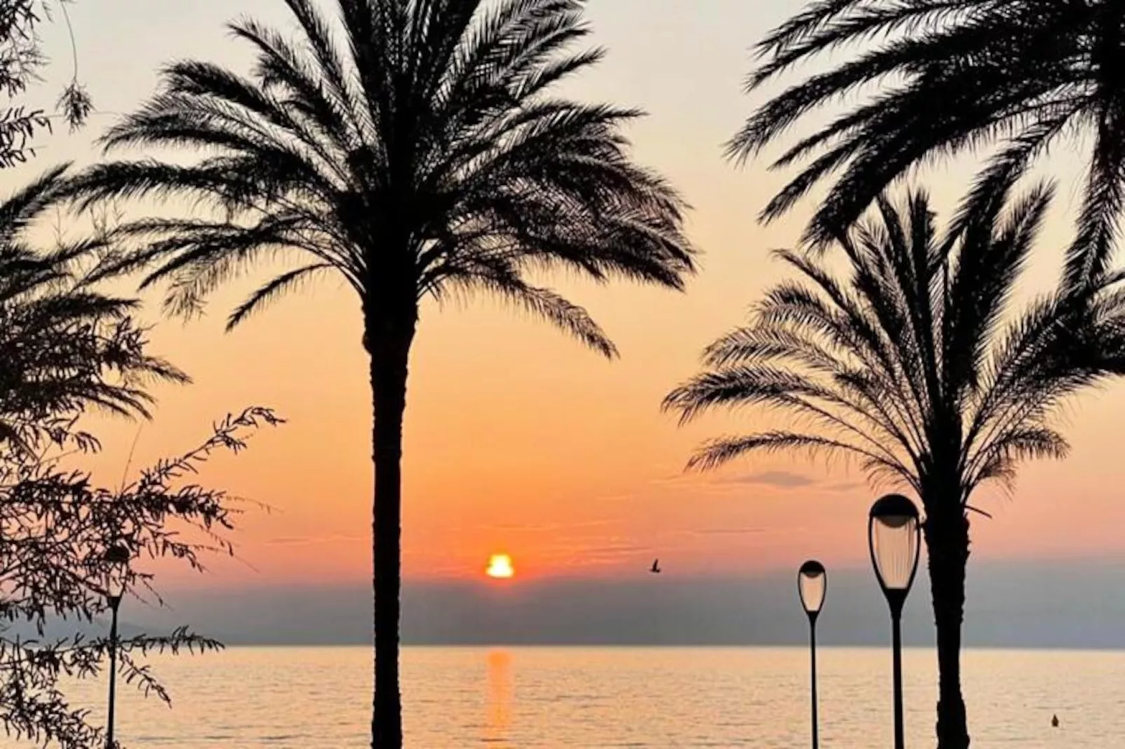 Résidence Studio Front De Mer Tout équipé Au Cœur Du Centre Ville Bd Leclerc-Untagged