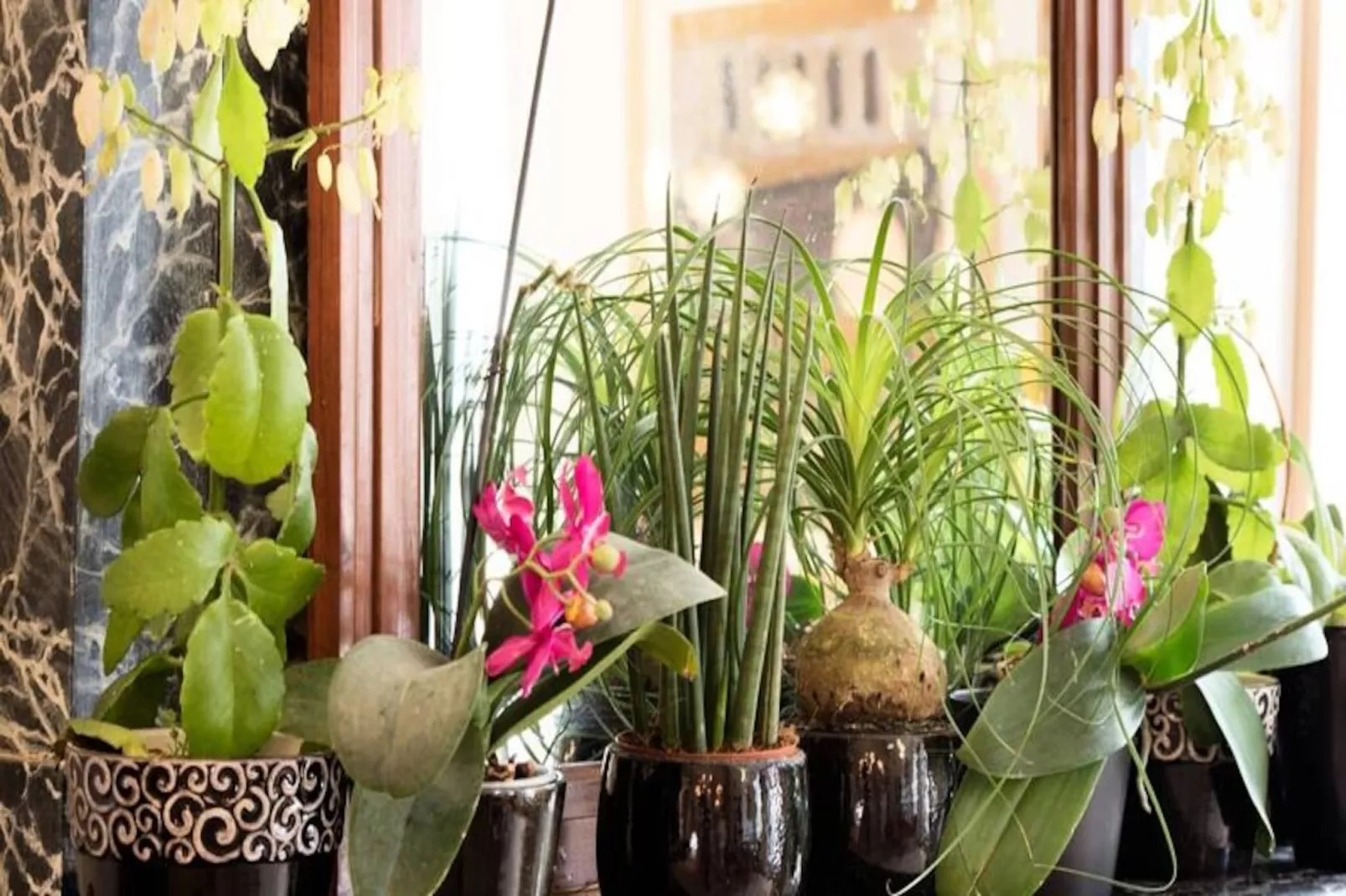 Appartement Priv&eacute;, Centre Historique La Rochelle-Nicht zugeordnet