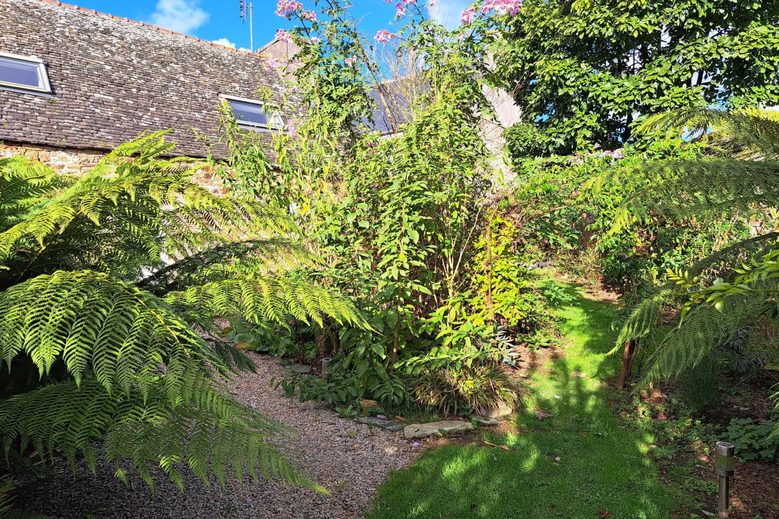 Granitsteinhaus in Guimaëc-Garden in winter