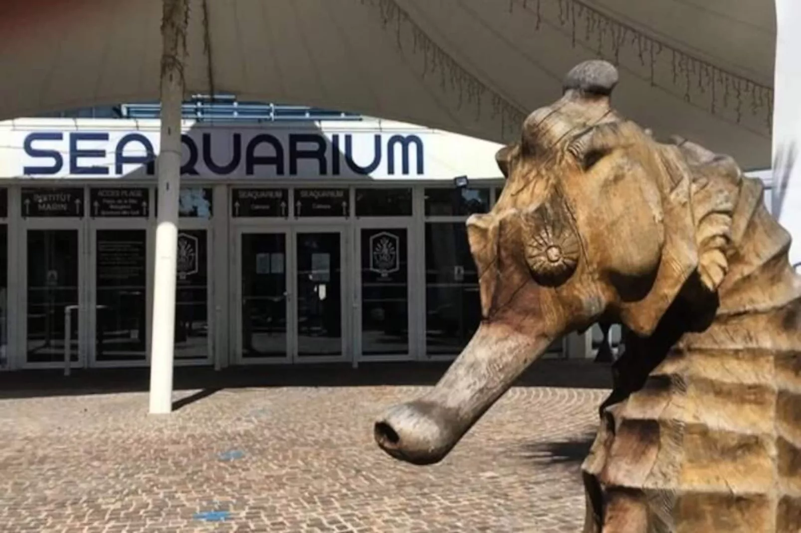 Résidence  Floralies 2-Untagged