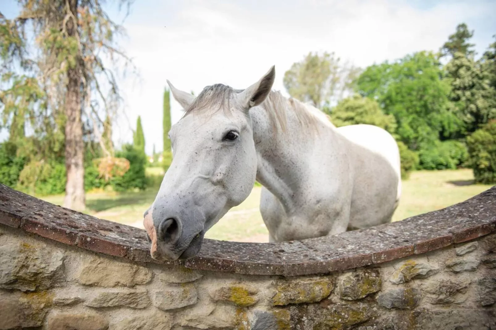 Colombaia-Ausstattung