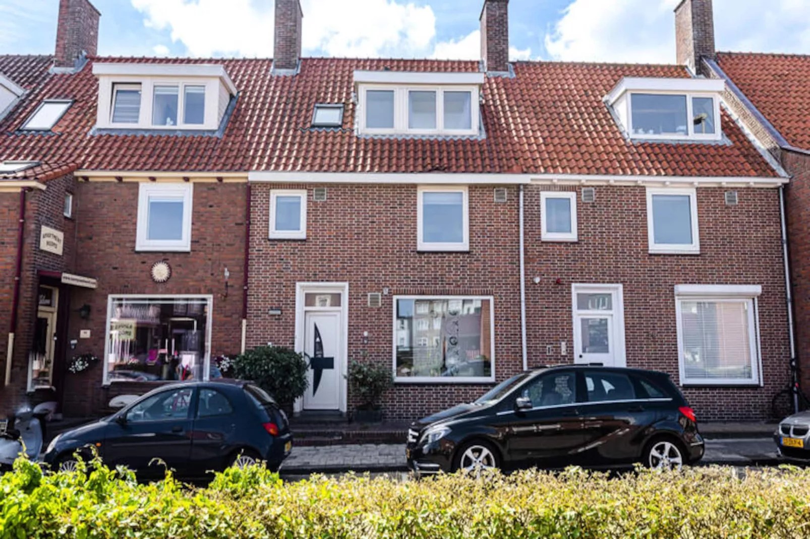 Albatros Aan Zee - Studio-Non tagué