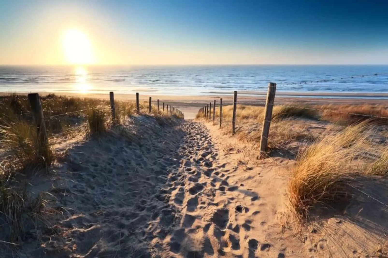 Nofa 7 - Zandvoort-Untagged