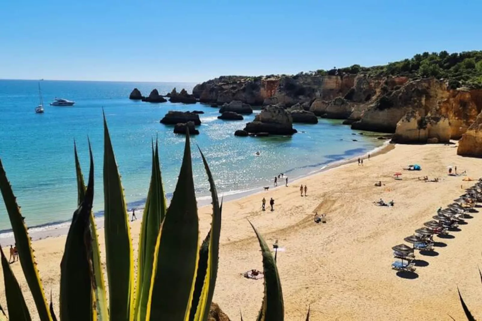 Vista Bonita-Non tagué