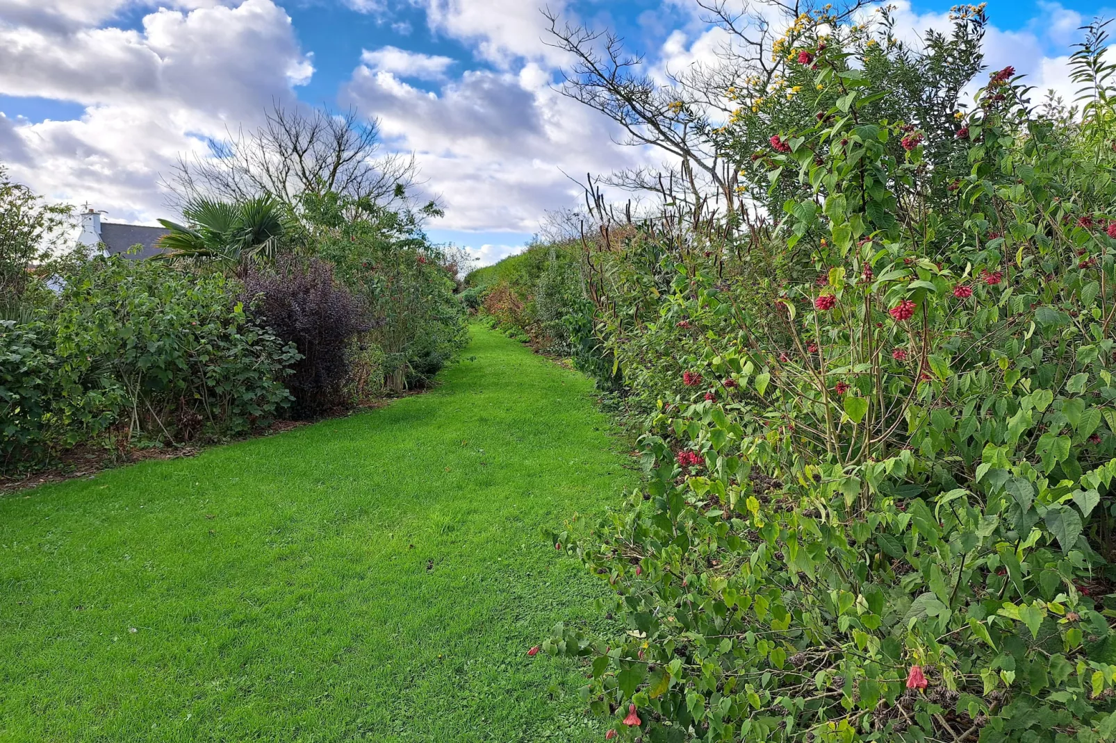Granitsteinhaus in Guimaëc-Garden in winter