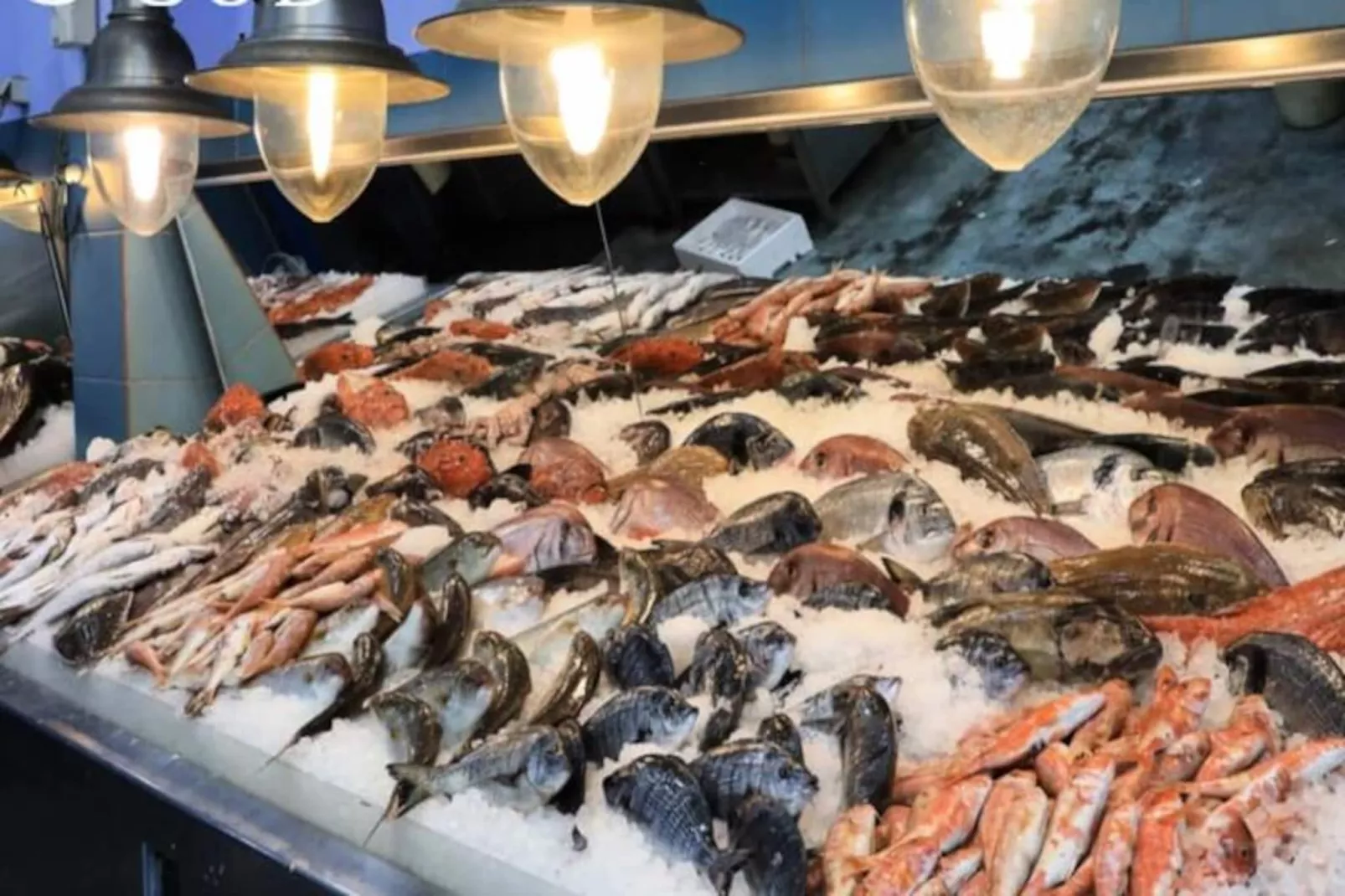 Résidence L'escapade Sal&eacute;e - A 100 M&egrave;tres De La Plage Et En Plein Coeur De Ville-Nicht zugeordnet