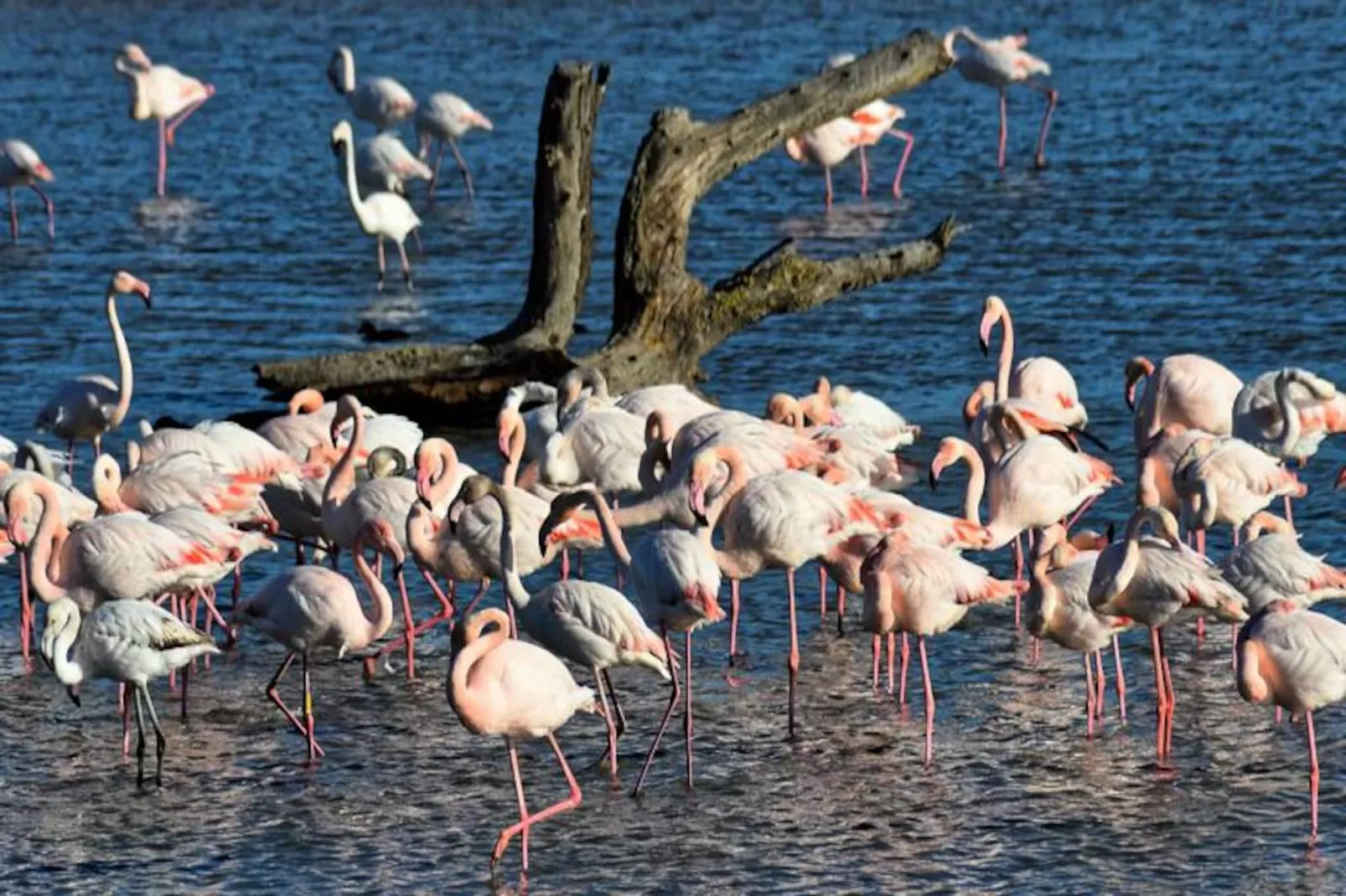 Résidence  Floralies 2-Untagged