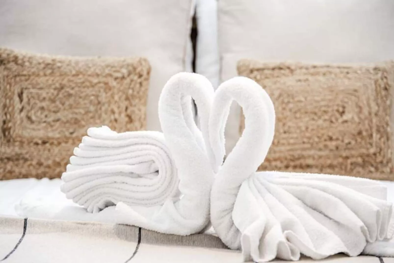 Yucca Beachhouse - Luxury Loft Apartment-Untagged