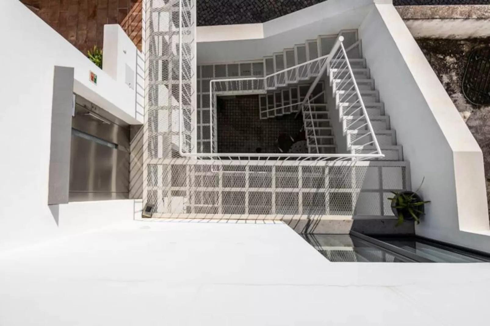 Perdiz Do Mar - Culatra-Untagged