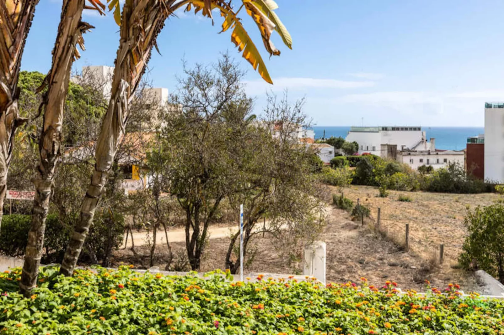 Studio Dona Ana-Untagged