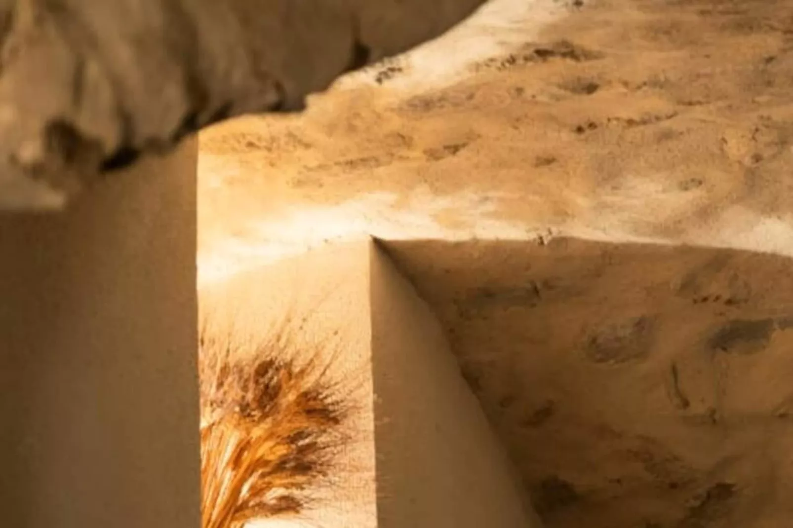 Mas De Th&eacute;s&eacute;e | Piscine & 12 Ha Priv&eacute;s-Non tagué